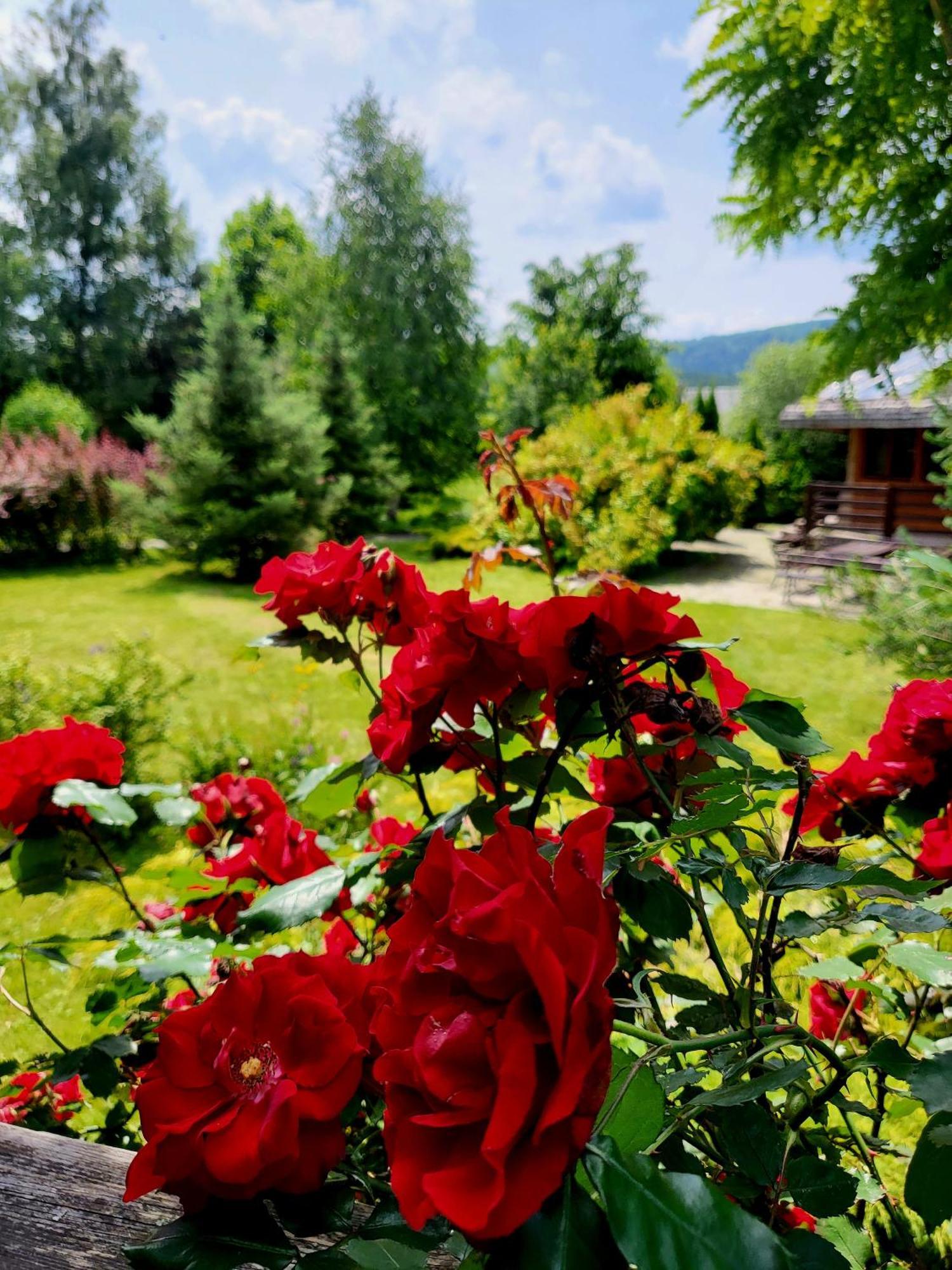 Hotel Bieszczadzki Osrodek Wypoczynkowo Konferencyjny Danfarm Ustrzyki Dolne Exterior foto