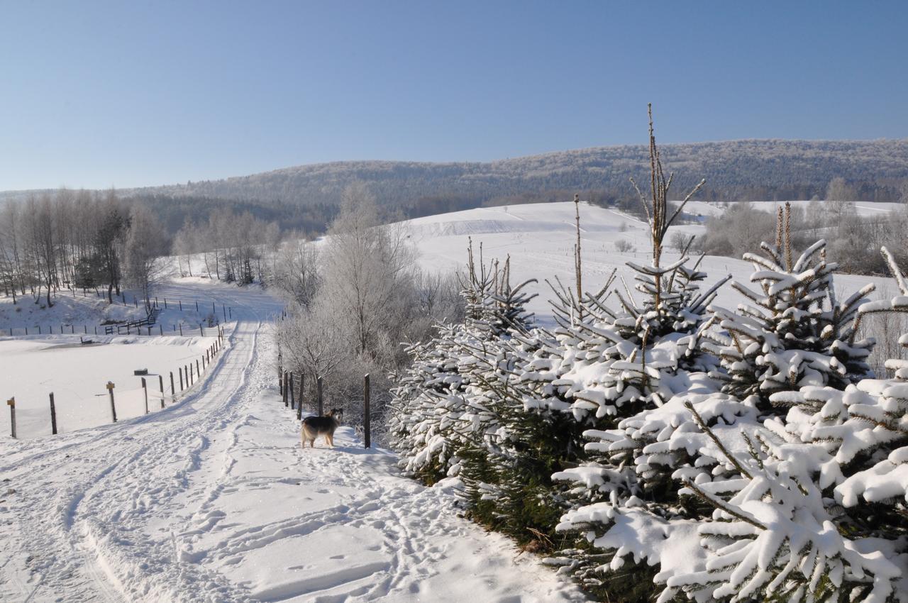 Hotel Bieszczadzki Osrodek Wypoczynkowo Konferencyjny Danfarm Ustrzyki Dolne Exterior foto