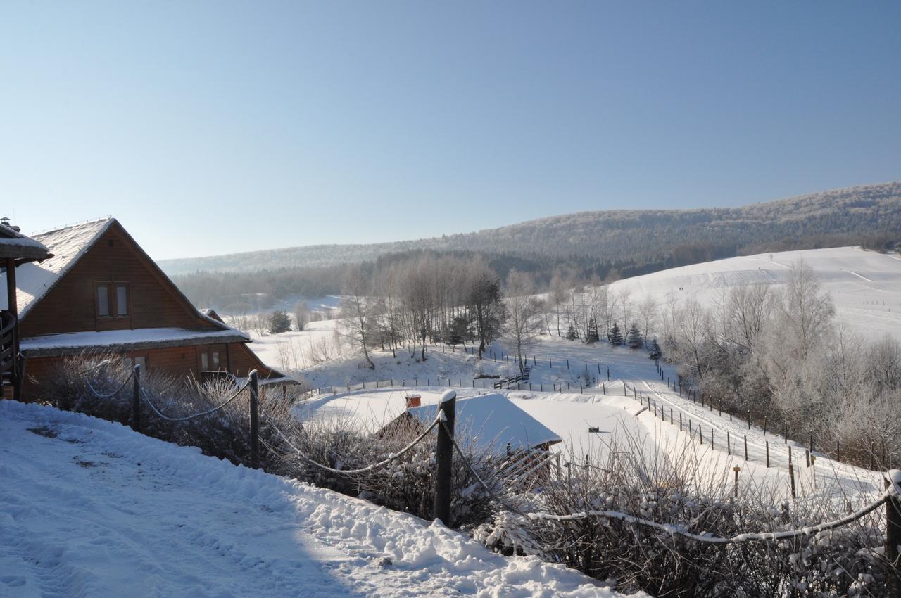 Hotel Bieszczadzki Osrodek Wypoczynkowo Konferencyjny Danfarm Ustrzyki Dolne Exterior foto