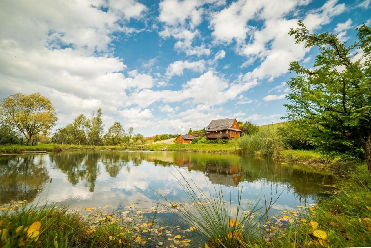 Hotel Bieszczadzki Osrodek Wypoczynkowo Konferencyjny Danfarm Ustrzyki Dolne Exterior foto